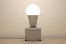 Lade das Bild in den Galerie-Viewer, LED E27 - Arbeitslicht 4000K Vollspektrum