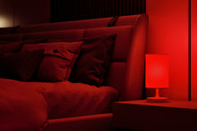 Load the image into the gallery viewer, Torre - Lamp with 3 light spectra