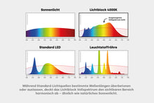 Lade das Bild in den Galerie-Viewer, LED E27 - Arbeitslicht 4000K Vollspektrum
