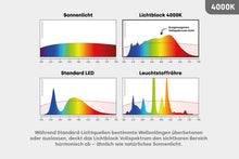 Lade das Bild in den Galerie-Viewer, LED E27 - 2 in 1 Arbeitslicht 4000K &amp; Warmweiß 2700K Vollspektrum
