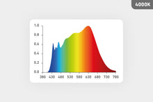 Lade das Bild in den Galerie-Viewer, LED E27 - 2 in 1 Arbeitslicht 4000K &amp; Warmweiß 2700K Vollspektrum
