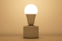 Lade das Bild in den Galerie-Viewer, LED E27 - 2 in 1 Arbeitslicht 4000K &amp; Warmweiß 2700K Vollspektrum
